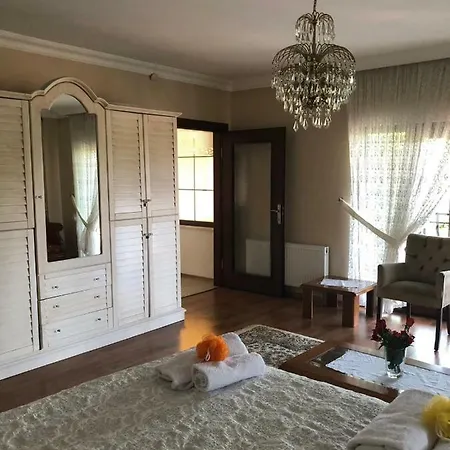 Bagdat Caddesi Palmiye 别墅 萨潘贾